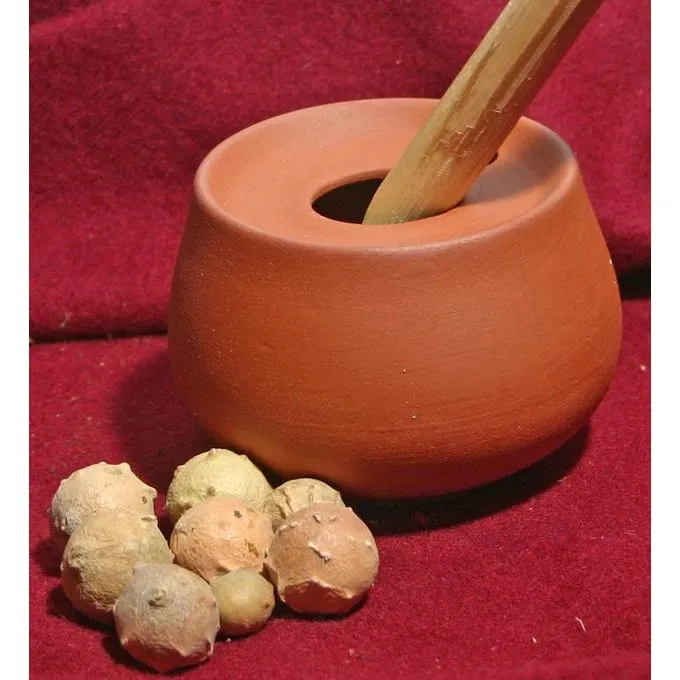 Gallnuts For Blæk (80 G) 2 Gallnuts For Blæk (80 G) - Billede 2