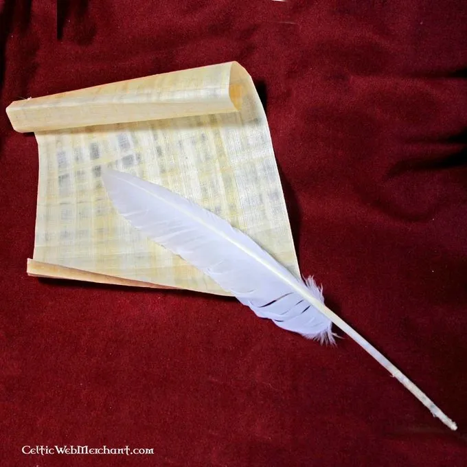 Gåsefjer Sæt Af 10 2 Gåsefjer Sæt Af 10 - Billede 2