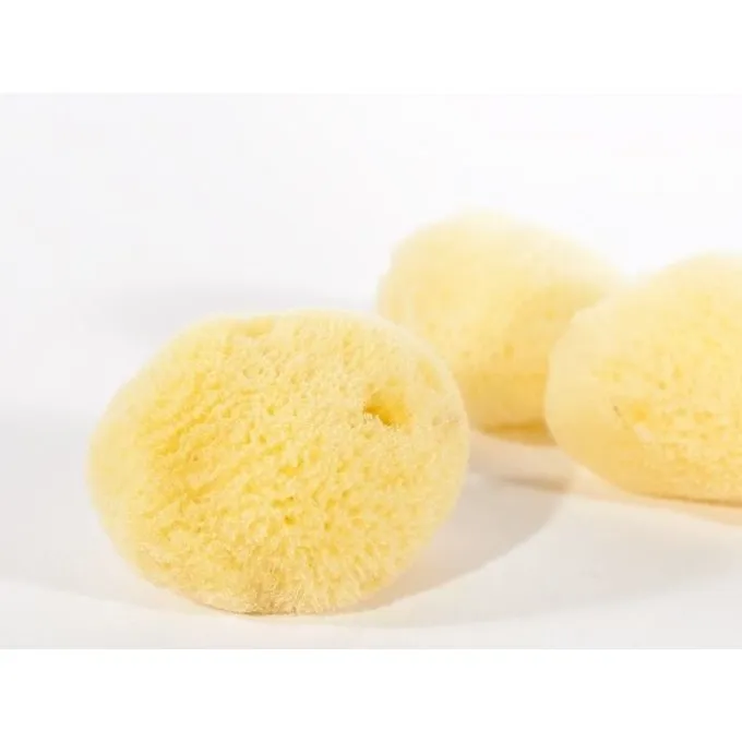 Klassisk Svamp (sæt Af Tre) 2 Klassisk Svamp (sæt Af Tre) - Billede 2