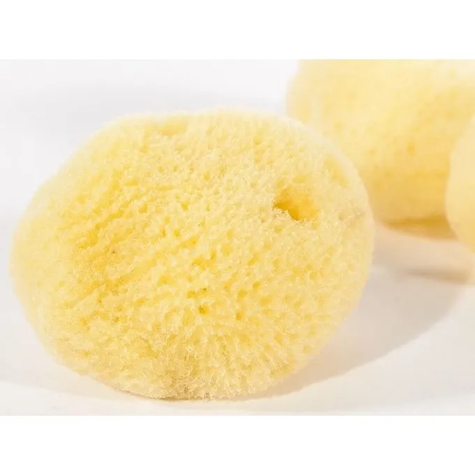 Klassisk Svamp (sæt Af Tre) 3 Klassisk Svamp (sæt Af Tre) - Billede 3