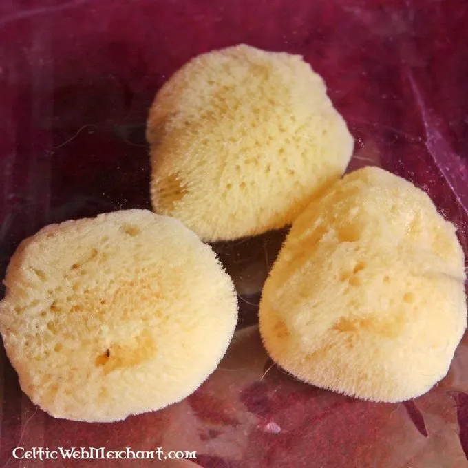 Klassisk Svamp (sæt Af Tre) 1 Klassisk Svamp (sæt Af Tre)