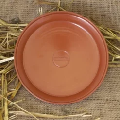 Roman Terra Sigillata Plade