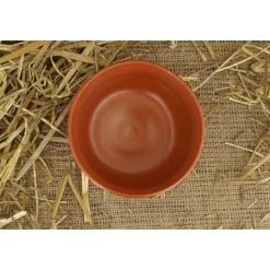 Romersk Skål Med Korn Motiver (terra Sigillata) -Rustning Salgsbutik romersk skal med korn motiver terra sigillata 1