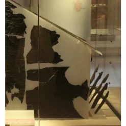 Ulfberth Romersk Teltpløk 7 Ulfberth Romersk Teltpløk -Rustning Salgsbutik romersk teltplok 3